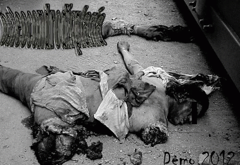 Osteocondrodisplasia : Demo 2012